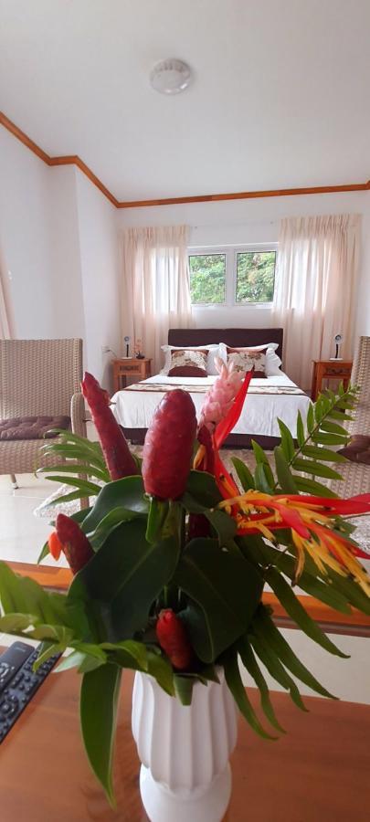Le Chant De Merle Self -Catering Studios And Apartments マヘ島 エクステリア 写真