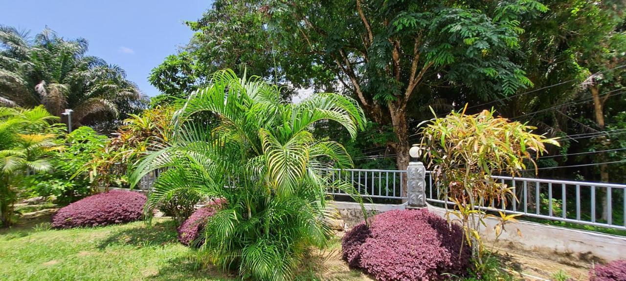 Le Chant De Merle Self -Catering Studios And Apartments マヘ島 エクステリア 写真