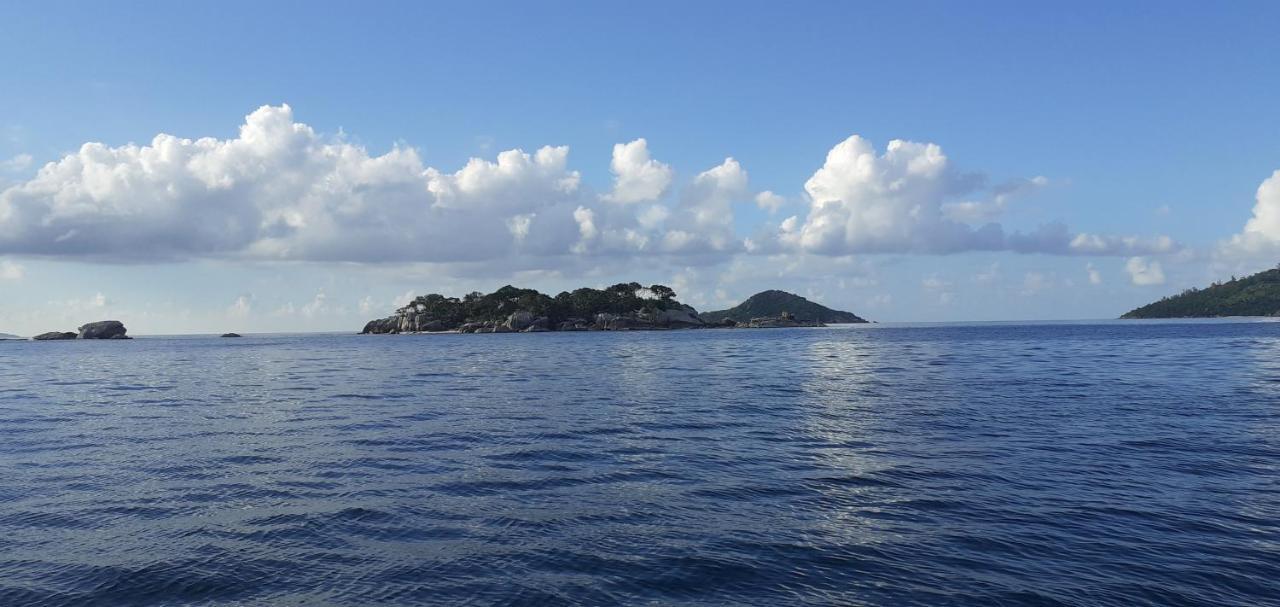 Le Chant De Merle Self -Catering Studios And Apartments マヘ島 エクステリア 写真