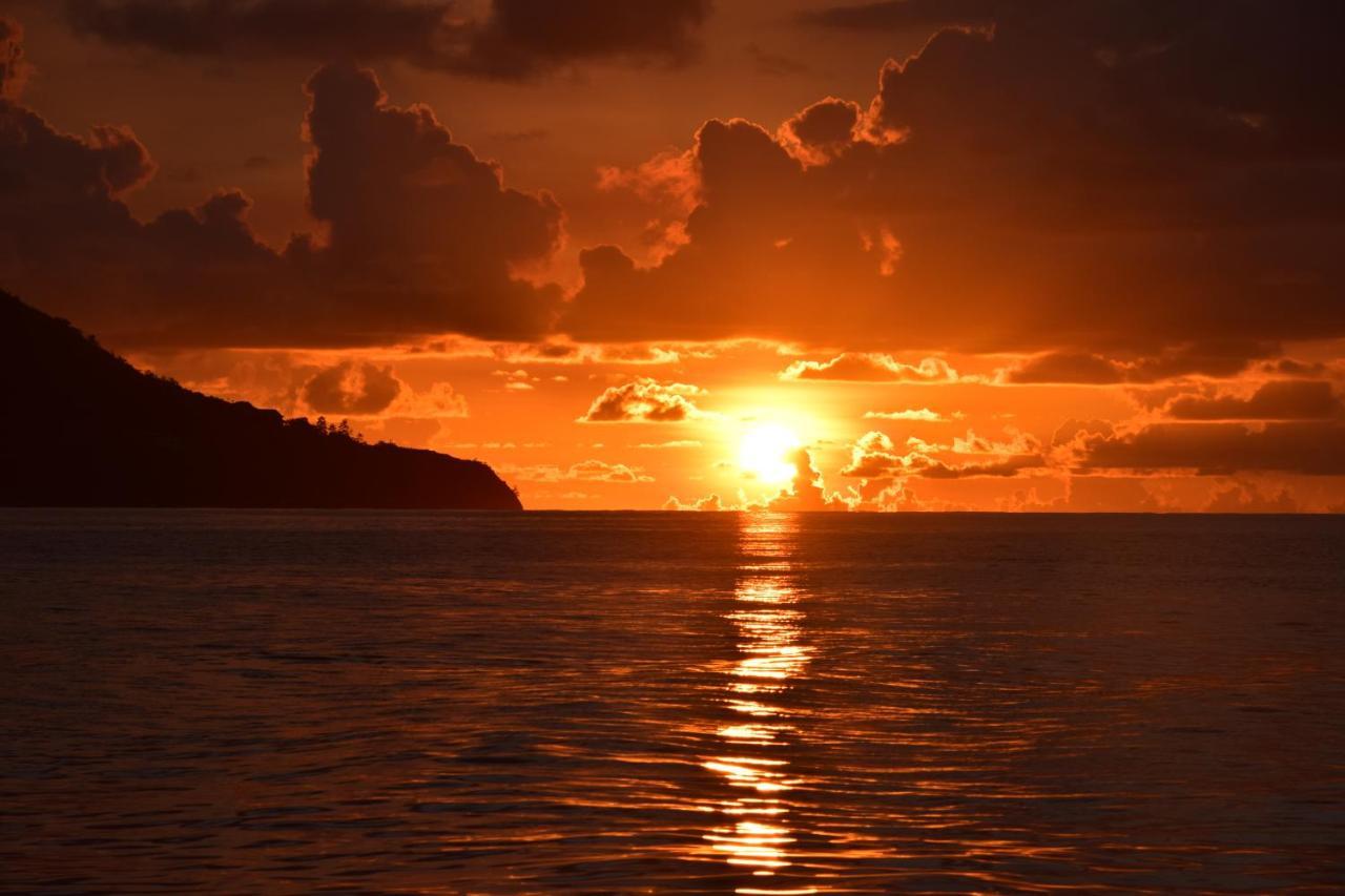 Le Chant De Merle Self -Catering Studios And Apartments マヘ島 エクステリア 写真